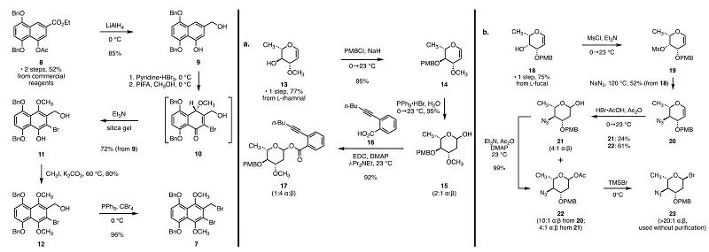 萘酚衍生物7、糖基化給體17和23的合成